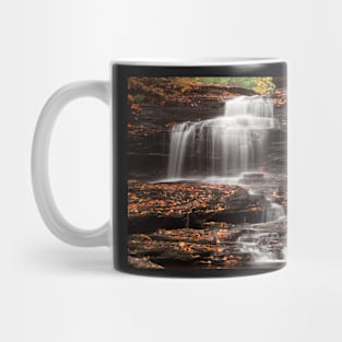 Onondaga Falls Mug